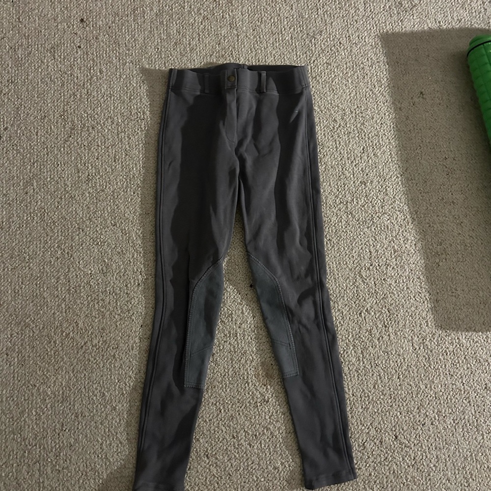 Gray Horze Britches Pants